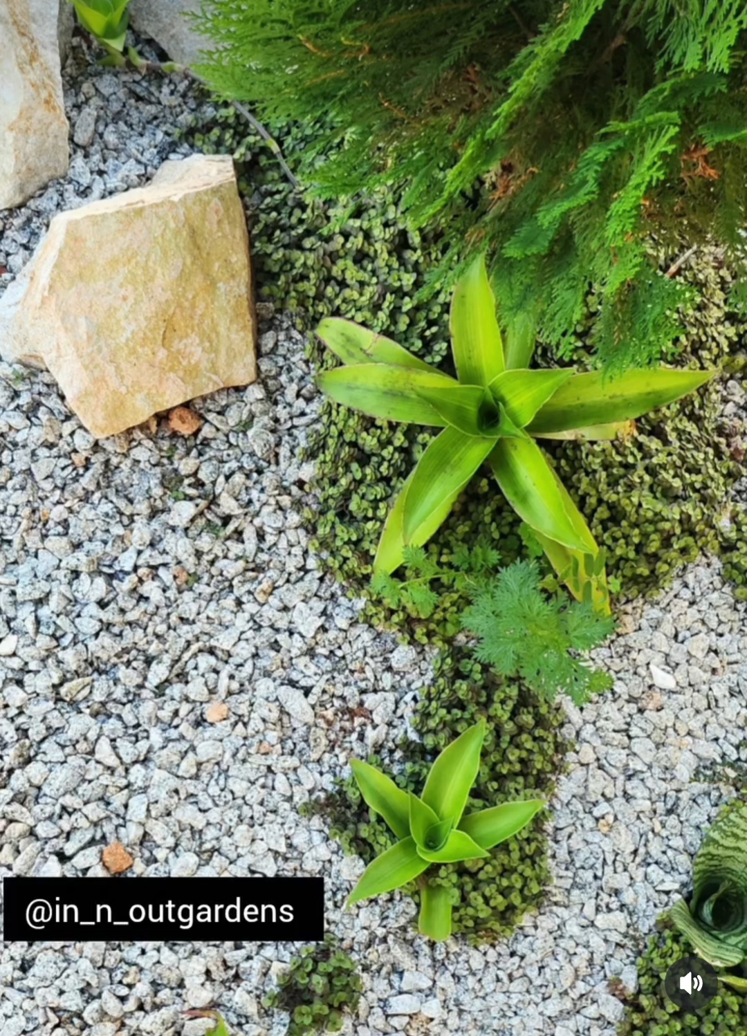 Garden slide 1
